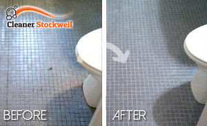 bathroom-cleaning-stockwell