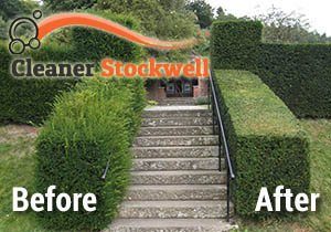 Before and After Hedge Trimming