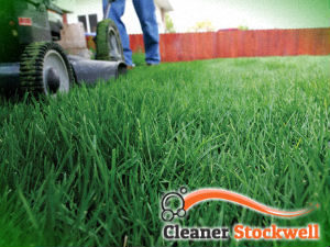 grass-cutting-services-stockwell
